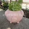 1 piece of cute cartoon piggy-shaped green plant potted plant, creative simple succulent flower pot, garden and courtyard decoration pendulum