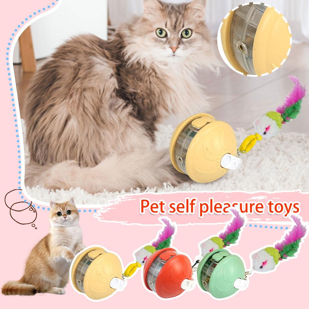 Indoor Cat Interactive Light Up Cat Toy, Rechargeable Electric Cat Ball, Electric Rolling Cat Toy(4 Tail Styles Are Sent Randomly)