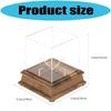 Modern Clear Acrylic Baseball Memorabilia Showcase Stand For Collections Display Case Signature Ball Holder