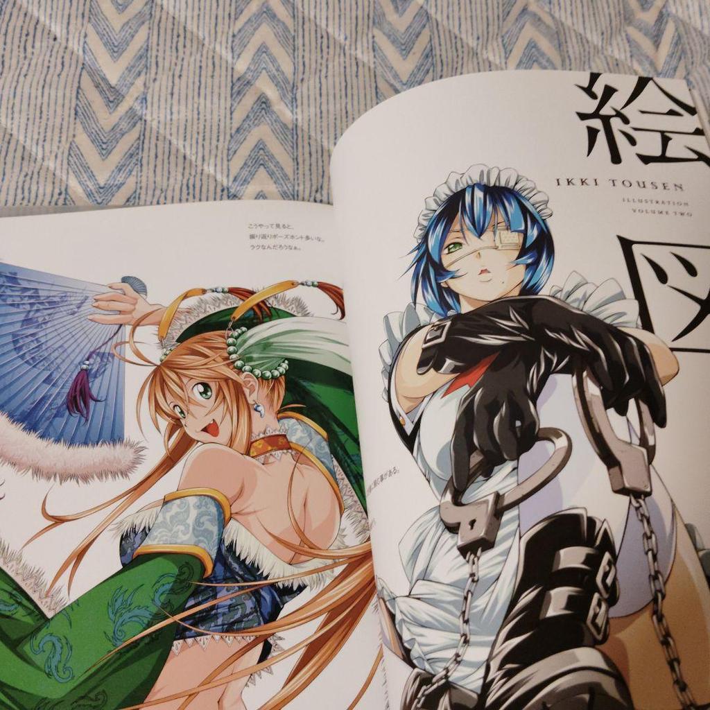 [USED] Ikki Tousen Master Works Yuji Shiozaki Art Collection