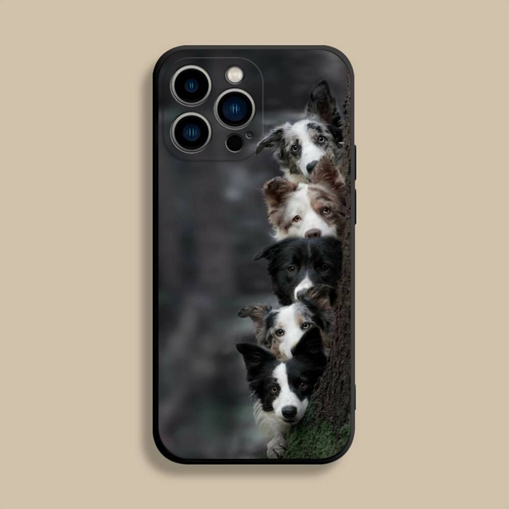 Border Collie Dog Phone Case For iPhone 17,16,15,14,13,12,Pro,Max,Plus,E,SE4,Air,Mini Black Soft Cover