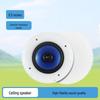 Tianlai 6.5" White Two-Way Ceiling Speaker Box for Home or Commercial Use (Model JX618)