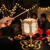 Wood Cutout New Year Projection Lantern Traditional Butterfly Projection Chinese Festival Lantern With Tassel Soft Warm Light