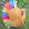 Costumes for Chickens Funny Rainbow Hen Dress Pet Pretend Play Props for Geese Dog Home Performance Holiday Party Christmas