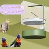 Automatic Bird Bath Shower for Parakeets, Finches, and Other Birds. Features include automatic showering, water play, and a USB power supply for water