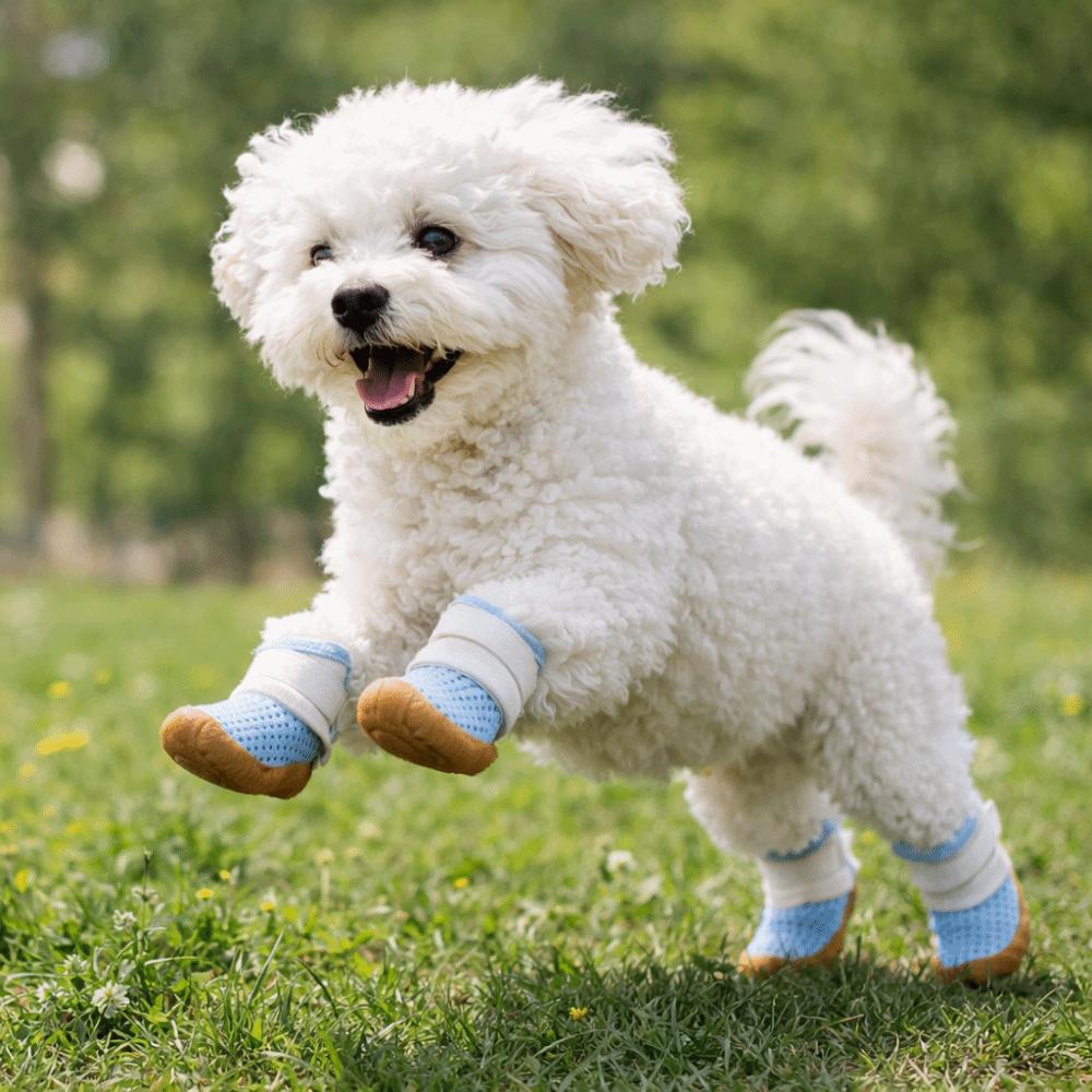 Rubber Sole Dog Mesh Shoes Breathable Dog Footwear Fashion Dog Paw Protectors  Outdoor Walking