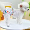 Mesh Breathable Female Dog Cat Physiological Pants Cute Girl Pet Menstrual Panties for Dogs Yorkshies Underwear mascotas Shorts