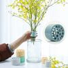 Spiral Ikebana Stielhalter DIY Bouquet Twister Vase Blumensteckgitter Mehrloch Pflanzenfixierständer Werkzeug für Blumengestecke