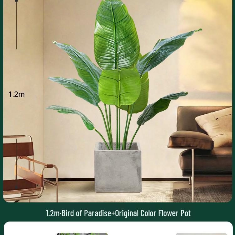 High-End Indoor Bird of Paradise Decor: Luxury Potted Traveler's Palm