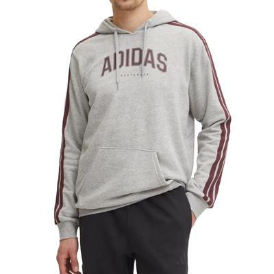 Sweatshirts Men's Gray Hooded Moderate JV6505