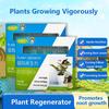 Plant Regenerator  Flower Resurrection Solution  Growth Solution for Yellow Leaf Drop Light Stem Plants  Enhanced Activity  Growth Promotion