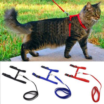 1PC Adjustable Pet Traction Belt Cat Halter Small Pet Dog Harness And Leash Collar