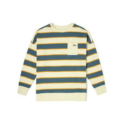 Striped Print Pullover Sweatshirt Women Tops Gray Blue VN0A54LO463