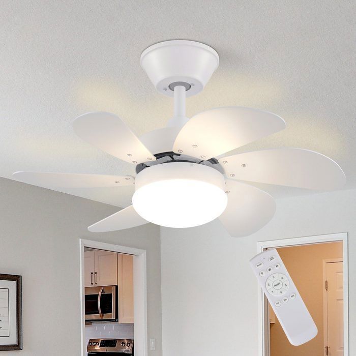 Ventilateur de plafond silencieux NETTLIFE avec douille E27 – 6 pales, 75 cm, avec minuterie, pour l'hiver et l'été
