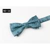 Bow Tie Men'S Vintage Suit Dress Meeting Banquet Officiating Wedding Bow High-End Collar Accessories