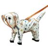 Windproof Dog Hooded Raincoat Removable Tail Cover with D-ring Pet Waterproof Cloak Cartoon Dinosaur Pattern