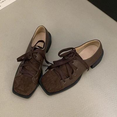 Fashion Retro British Lace-up Square Head Single Shoes Women's Spring 2025 New Niche Design Thick Heel Mary Jane Shoes