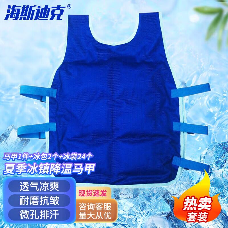 Haisidick Summer Cooling Vest with Ice Packs Ice Pack Style