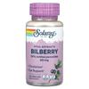 Solaray Vital Extracts Bilberry 60mg Vegetarian Capsules, 120 Count