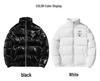 European Style Little Bee Embroidered Men's Winter Jacket - Korean Trendy Thick Down Cotton Coat