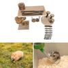 Small Pet Ladder for Hamster Cage Entertainment Jumping Platform Climbing Toy Multiple Playground Toy for Small Animals