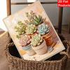 Succulent pearl painting handmade DIY 5D creative ornaments living room home decoration painting