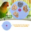 Bird Pet Foraging Feeder   Food Wheel Feeding Storage Box Toy Purple