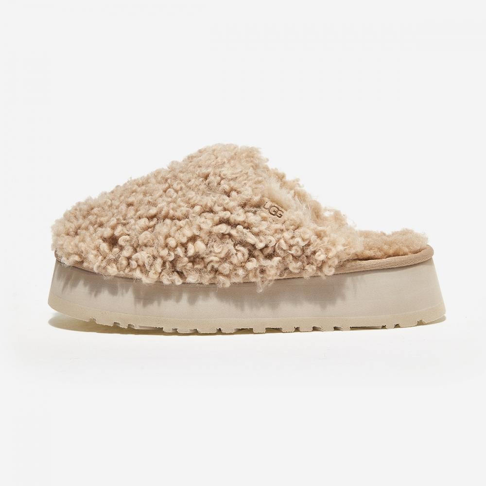 

Модные шлепанцы Ugg Maxi Curly (SAN)