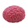 Novelty Brain Squeeze Balls Slow Rebound Stress Balls Realistic Fake Organ Bloody Scary Cartoon Halloween Squeeze Fun Toy
