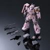 HG Zaku Desert Type Pink Panther Corps Plastic Model 1/144 Color-Coded