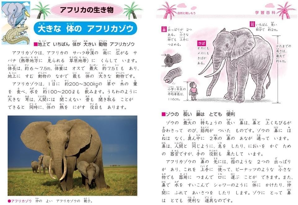 Showa Notebook Japonica Math 17 Notebook, Squares, B5, 5-Pack, JL-25