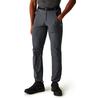 Брюки Regatta Xert III Stretch Pants seal серый