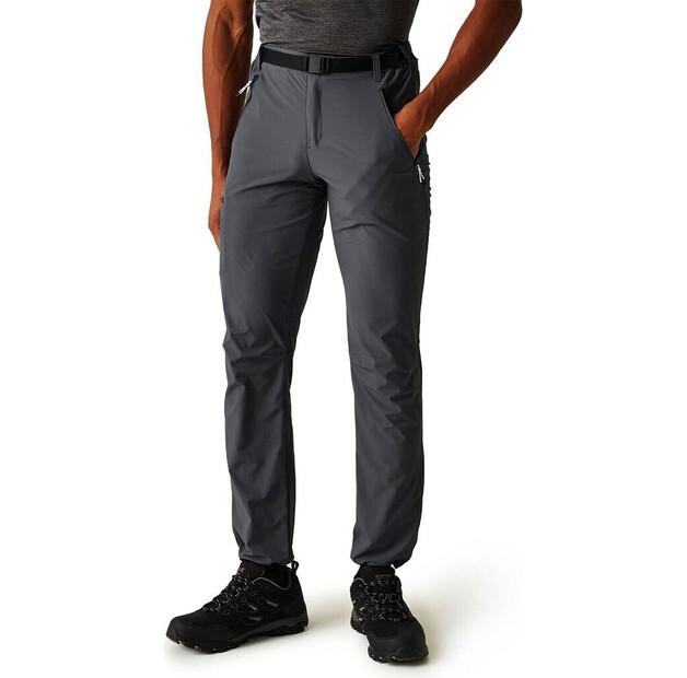 Брюки Regatta Xert III Stretch Pants seal серый