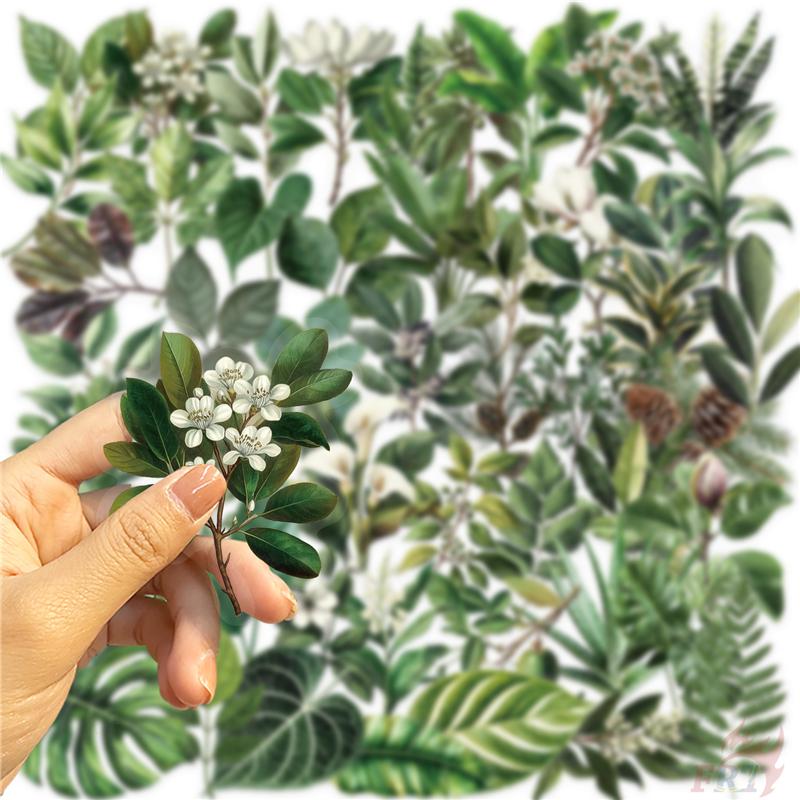 50Pcs/Set Green Leaves Series 02 PET Stickers Waterproof DIY Fashion Doodle Decals Stickers