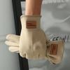 Warm Winter Gloves Touchable Screen Skiing Gloves New Driving Mittens  Cycling Driving