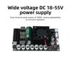 DC 18-55V TPA3255 Fever HIFI Digital Amplifier Board 300W+300W High Power Stereo Amplifier Module No Bluetooth