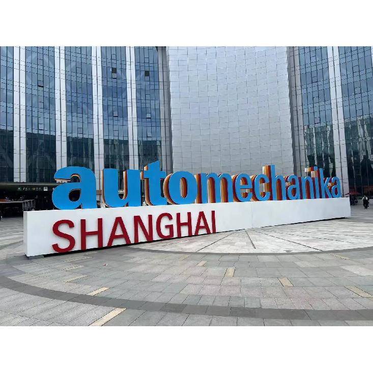 Customization Car Reversing Mirror Triangle Rearview Mirror Cover for Saic Maxus V80 C00002857