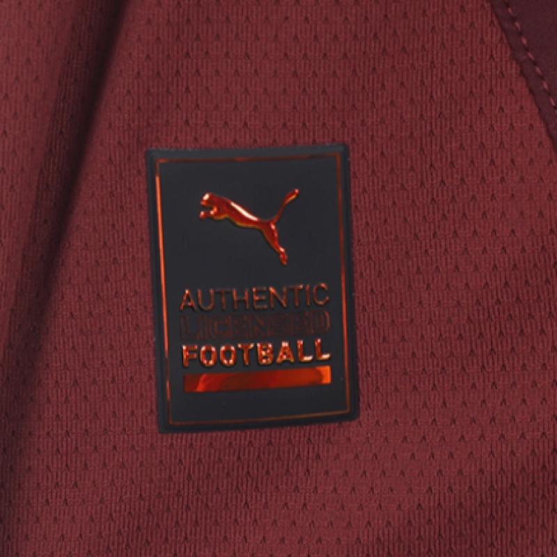 Puma Manchester City 2024 25 Third Authentic Jersey Man City Jersey