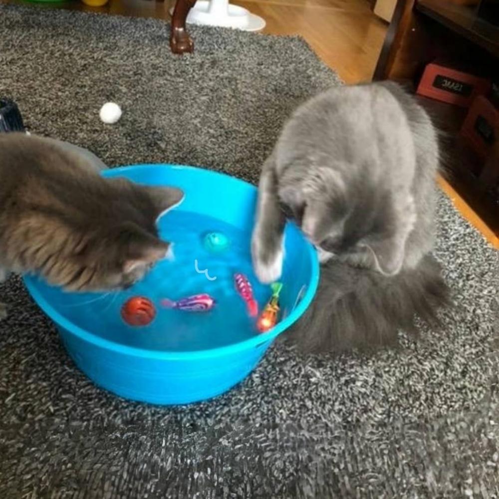 Svømmende kjæledyrfisk, Akselererer Sakte ned Svinger i vannet, Vanntett LED-lys Fisk, Dekor Vrir halen på en livaktig måte