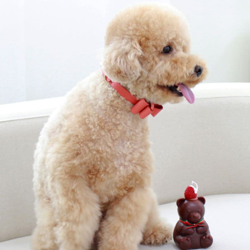 MAISON DE MIU Soft Ribbon Necklace Coral