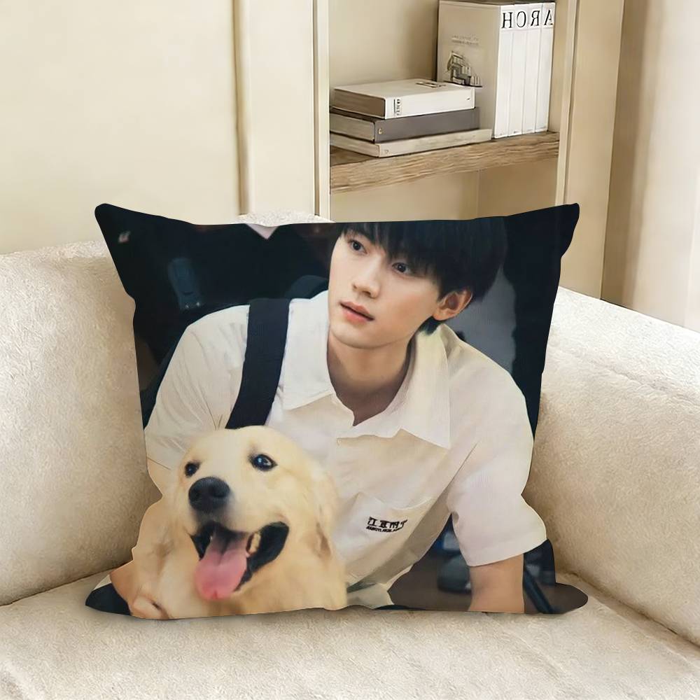 

when i fly towards you Zhang Lurang Su Zaizai Pillow Case Living Room Sofa Cushion Cover Suitable For Home Room Decoration 30x30cm