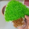 Acrylic Pine Tree Scouring Pad: Lint-Free, Oil-Repellent Dishcloth for Kitchen Cleaning