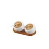 Ceramic Seasoning Jar Set