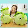 Plush Turnip Vegetable Toy Collection Super Soft Short Pile Childrens Playroom