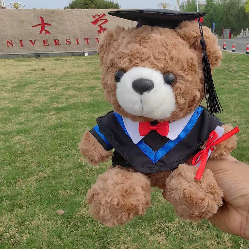 Abschluss Teddybär Stoffpuppe Bachelor Master Doktor Kleidung Puppendesign Geschenk Doktor Bär