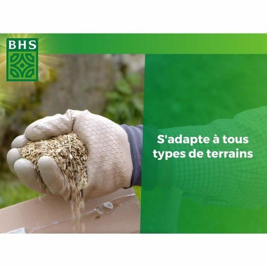 Seeds BHS 3 Kg