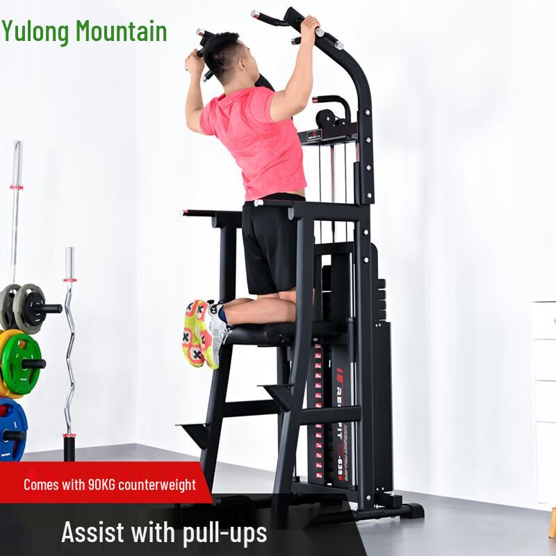 Yulongshan RS635S Assisted Pull-Up Power Tower