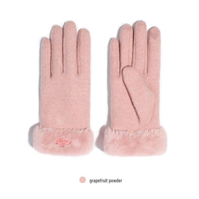 Women's Autumn/Winter Fleece-Lined Wool Gloves