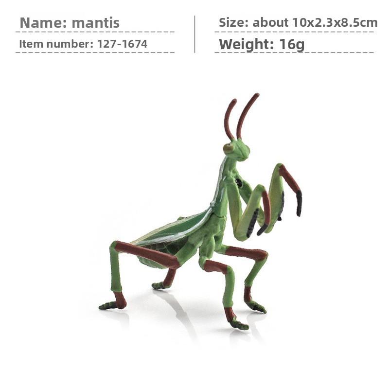 Jungle Rainforest Insect Butterfly Poison Spider Pvc Model Set With Realistic Wildlife Display For Nature Enthusiasts