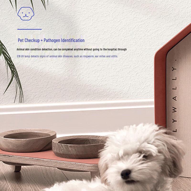 Wuben E19UV 365nm UV Flashlight